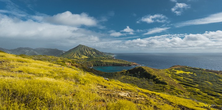 Master Photography Composition with Adobe Lightroom: A Step-by-Step Guide