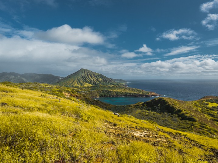 Master Photography Composition with Adobe Lightroom: A Step-by-Step Guide