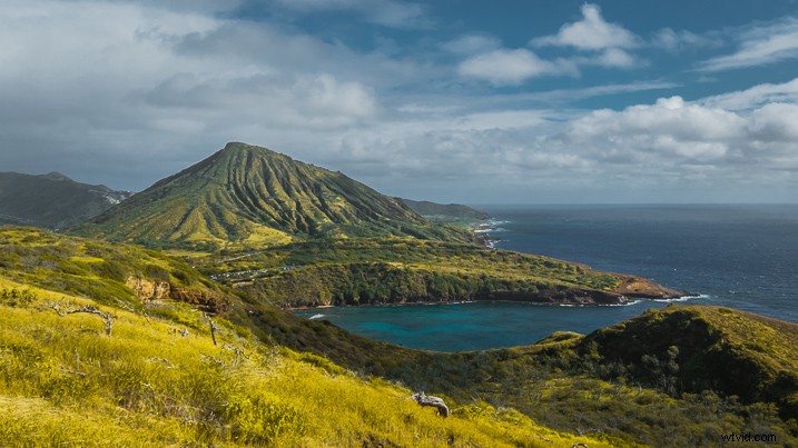 Master Photography Composition with Adobe Lightroom: A Step-by-Step Guide