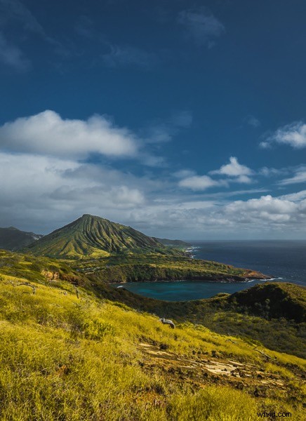 Master Photography Composition with Adobe Lightroom: A Step-by-Step Guide