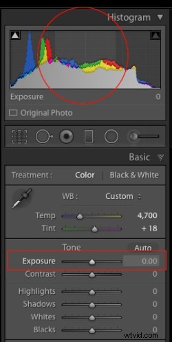 Elevate Your Photos: 4 Essential Lightroom Sliders for Stunning Results