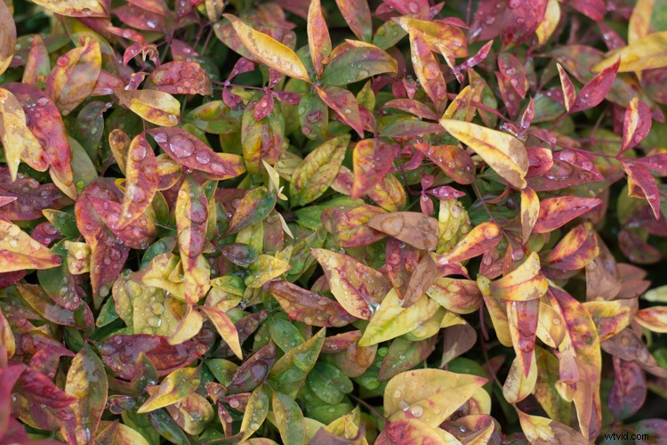 Elevate Your Photos: 4 Essential Lightroom Sliders for Stunning Results