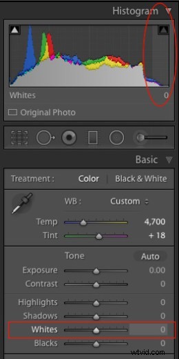 Elevate Your Photos: 4 Essential Lightroom Sliders for Stunning Results