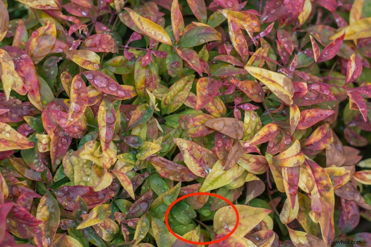 Elevate Your Photos: 4 Essential Lightroom Sliders for Stunning Results