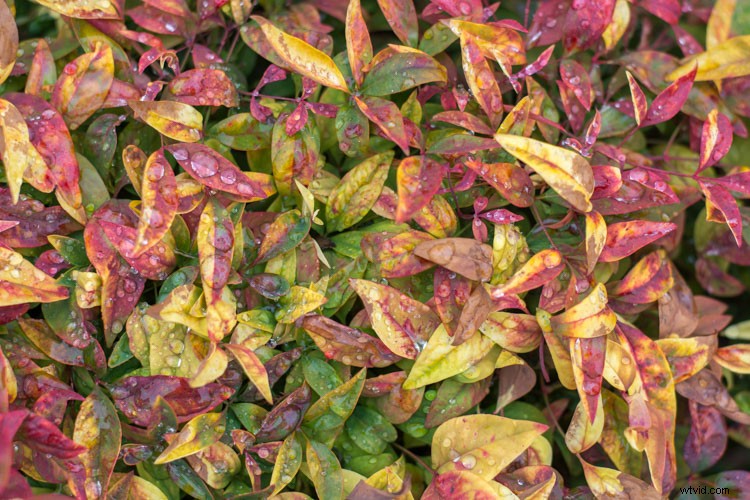 Elevate Your Photos: 4 Essential Lightroom Sliders for Stunning Results