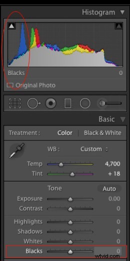 Elevate Your Photos: 4 Essential Lightroom Sliders for Stunning Results