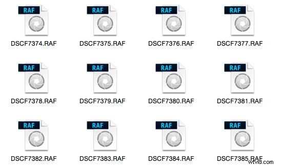 Master File Renaming in Lightroom: Proven Tips for Success