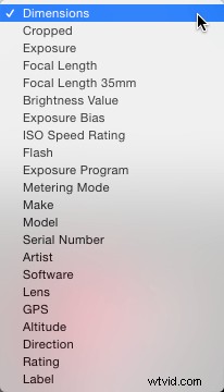 Master File Renaming in Lightroom: Proven Tips for Success