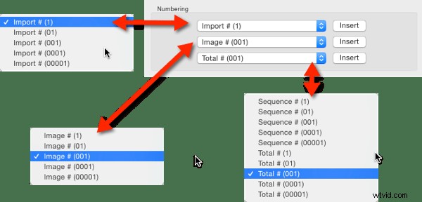 Master File Renaming in Lightroom: Proven Tips for Success