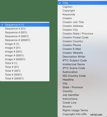 Master File Renaming in Lightroom: Proven Tips for Success