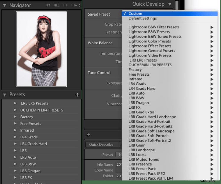 Ultimate Beginner s Guide to Lightroom Presets: Get Started Effortlessly