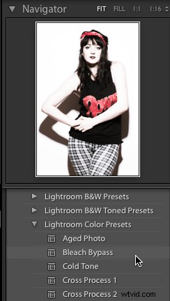 Ultimate Beginner s Guide to Lightroom Presets: Get Started Effortlessly