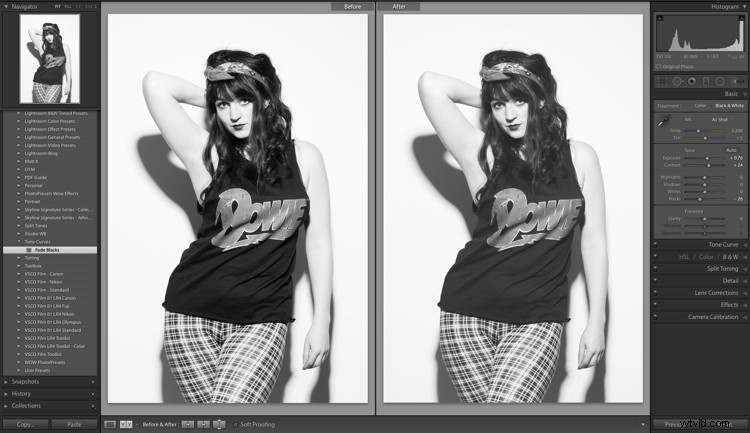 Ultimate Beginner s Guide to Lightroom Presets: Get Started Effortlessly