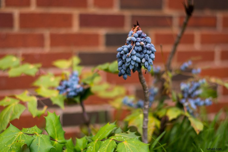 Ultimate Beginner s Guide to Adobe Lightroom: Step-by-Step Tutorial