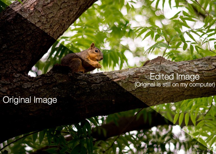 Ultimate Beginner s Guide to Adobe Lightroom: Step-by-Step Tutorial