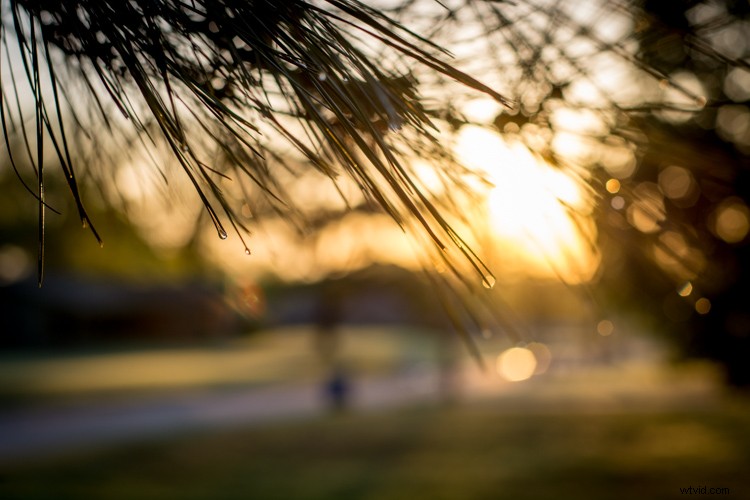 Ultimate Beginner s Guide to Adobe Lightroom: Step-by-Step Tutorial