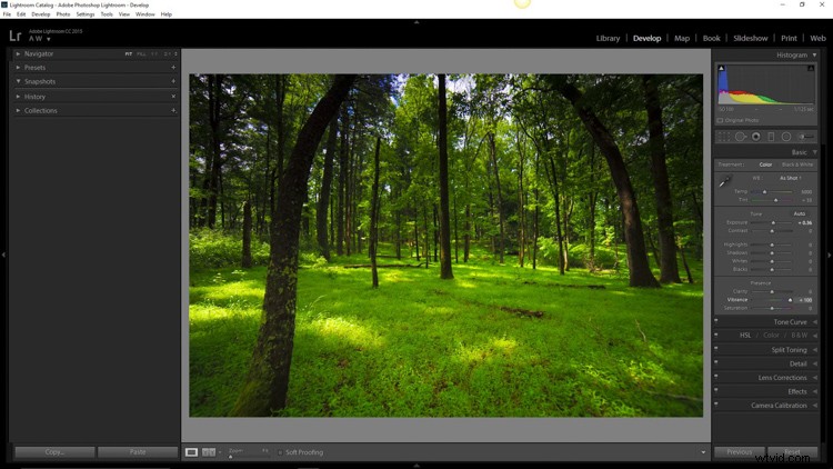 How to Create Moody Desaturated Images in Lightroom: Step-by-Step Guide