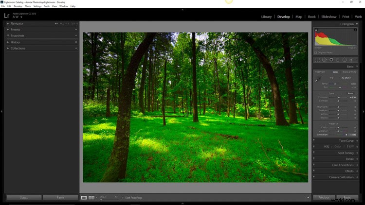 How to Create Moody Desaturated Images in Lightroom: Step-by-Step Guide