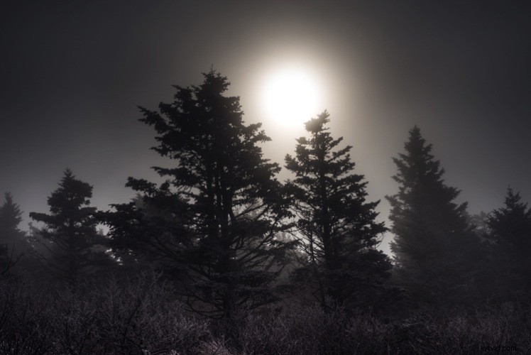 How to Create Moody Desaturated Images in Lightroom: Step-by-Step Guide