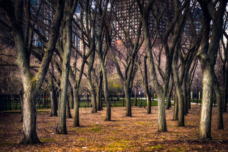 How to Create Moody Desaturated Images in Lightroom: Step-by-Step Guide