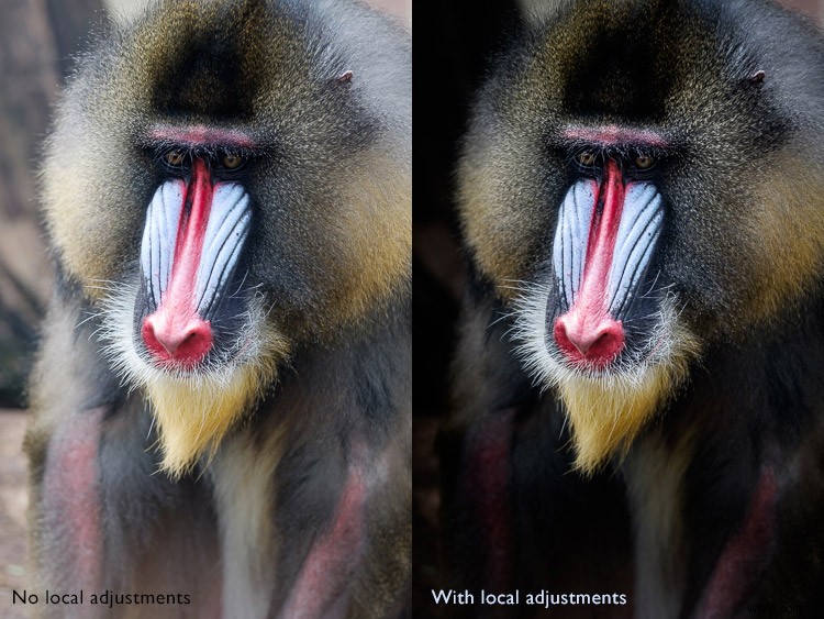 Master Lightroom s Develop Module: 6 Essential Tips for Stunning Photo Edits