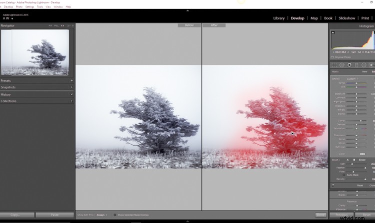 Elevate Your Photos: Master Clarity, Sharpening & Dehaze in Lightroom