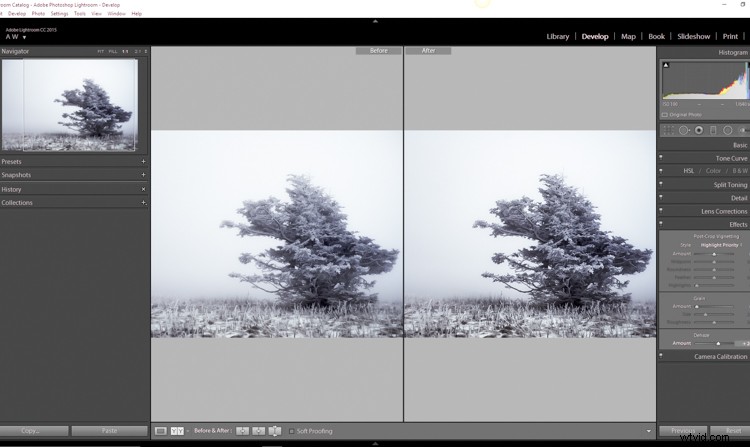 Elevate Your Photos: Master Clarity, Sharpening & Dehaze in Lightroom
