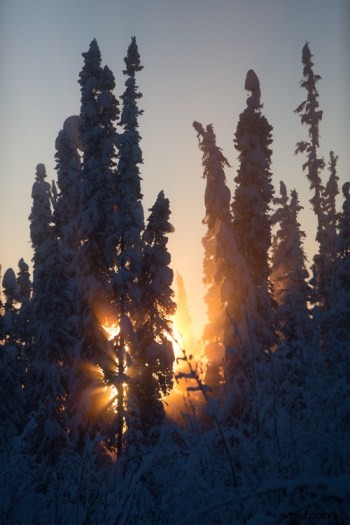 Expert Tips for Editing Stunning Winter Landscapes in Lightroom