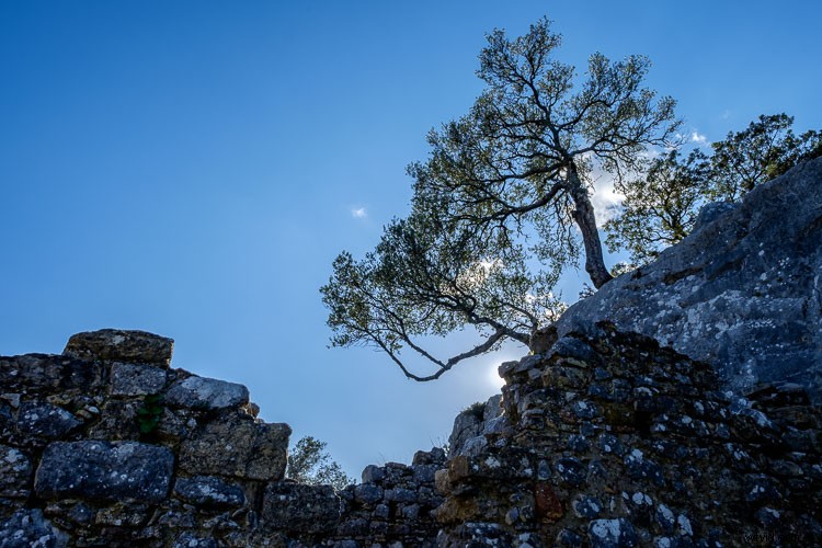 Master HDR Merge in Lightroom: Complete Step-by-Step Guide