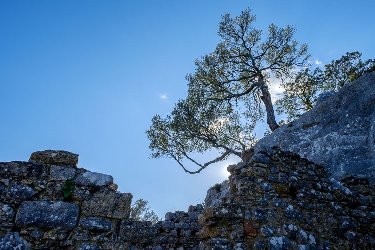 Master HDR Merge in Lightroom: Complete Step-by-Step Guide