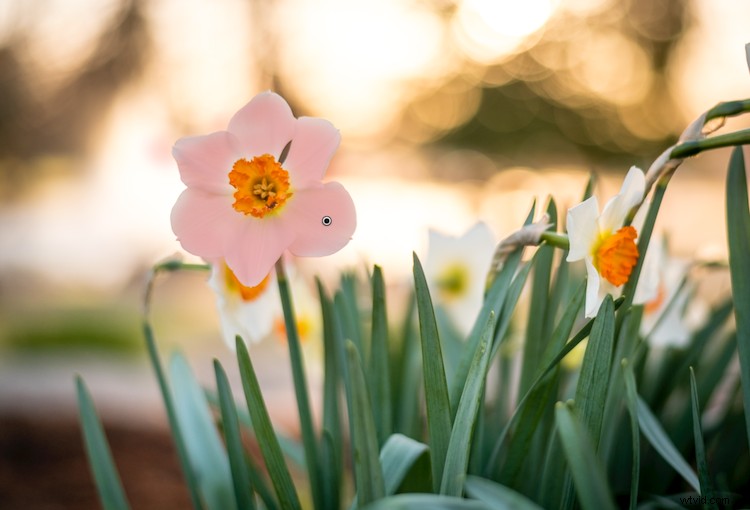 Master Lightroom s Adjustment Brush: 5 Essential Pro Tips for Precision Editing