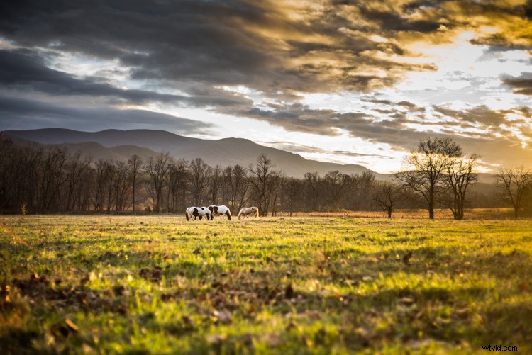 Expert Lightroom Tips: Quick Post-Processing for Stunning Landscape Photos