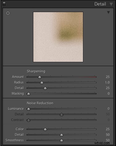 Master Digital Noise Removal in Lightroom: Expert Tips & Techniques