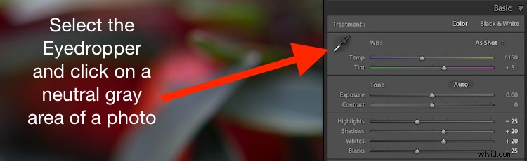 4 Expert Tips to Supercharge Your Lightroom Workflow