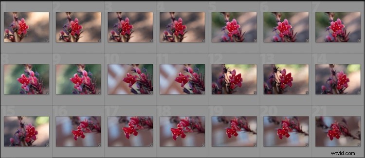 4 Expert Tips to Supercharge Your Lightroom Workflow