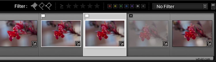 4 Expert Tips to Supercharge Your Lightroom Workflow