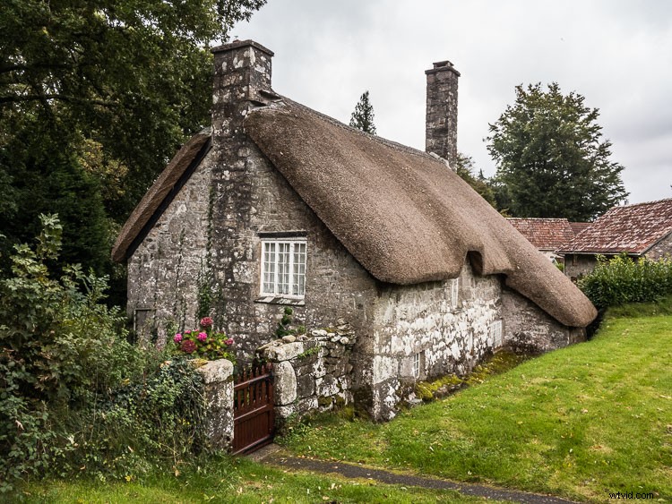 How to Edit DNG RAW Files on iPhone: Lightroom Mobile, RAW, or ProCam 4 Guide