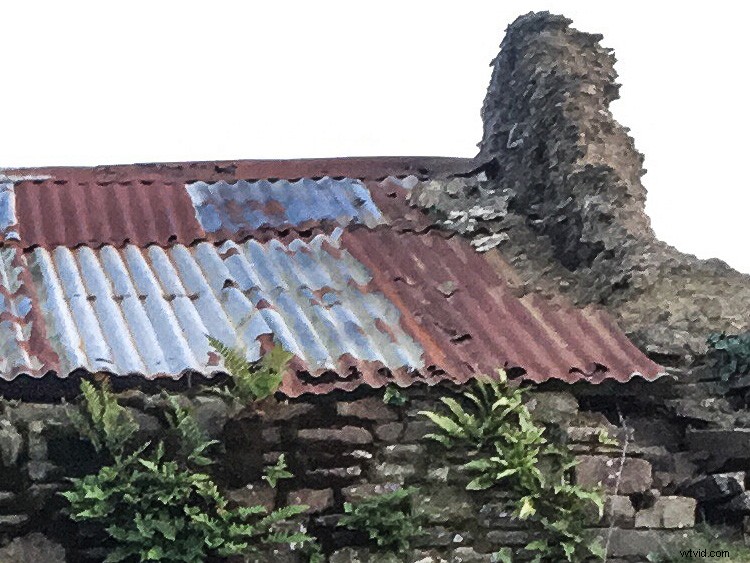 How to Edit DNG RAW Files on iPhone: Lightroom Mobile, RAW, or ProCam 4 Guide