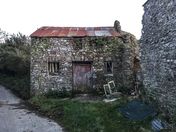 How to Edit DNG RAW Files on iPhone: Lightroom Mobile, RAW, or ProCam 4 Guide