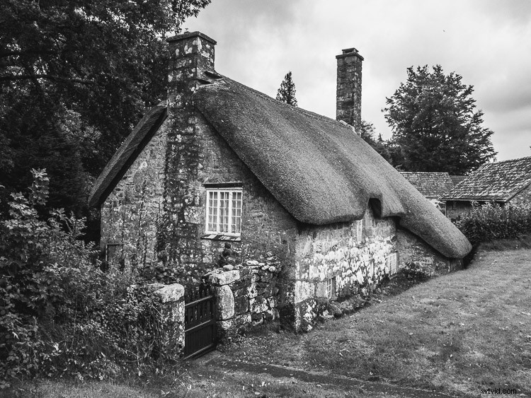 How to Edit DNG RAW Files on iPhone: Lightroom Mobile, RAW, or ProCam 4 Guide