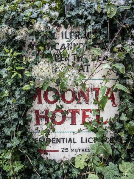 How to Edit DNG RAW Files on iPhone: Lightroom Mobile, RAW, or ProCam 4 Guide