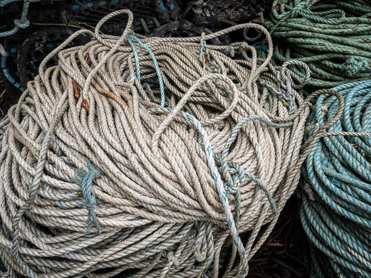 How to Edit DNG RAW Files on iPhone: Lightroom Mobile, RAW, or ProCam 4 Guide