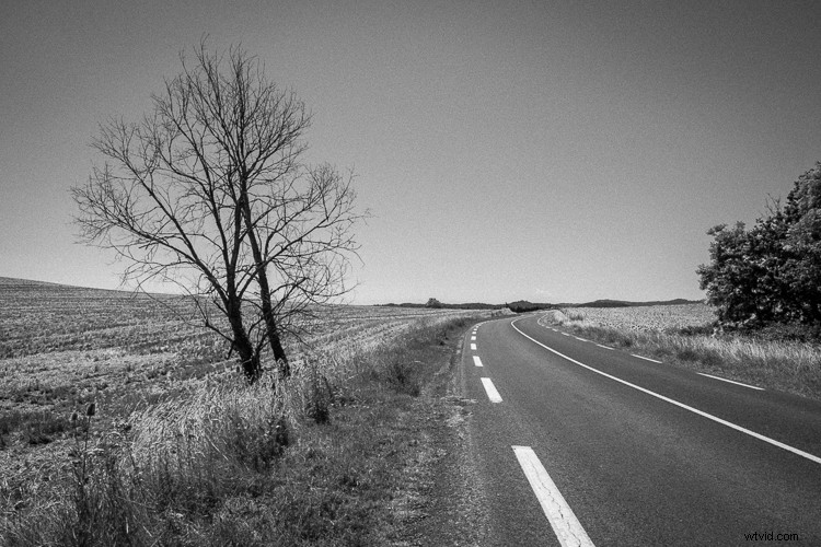 5 Proven Steps to Master Black & White Film Look in Lightroom