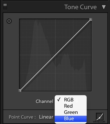Master Skin Tone Correction in Lightroom with Color Curves: Expert Guide