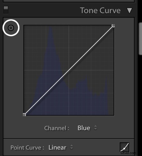 Master Skin Tone Correction in Lightroom with Color Curves: Expert Guide