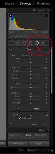 Master Lightroom s Radial Filter: The Ultimate Secret Weapon for Pro Edits