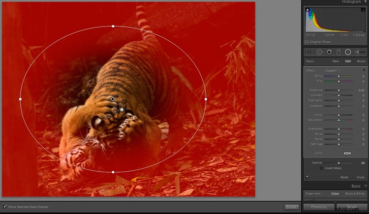 Master Lightroom s Radial Filter: The Ultimate Secret Weapon for Pro Edits