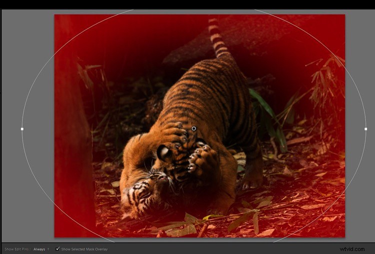 Master Lightroom s Radial Filter: The Ultimate Secret Weapon for Pro Edits