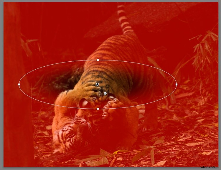 Master Lightroom s Radial Filter: The Ultimate Secret Weapon for Pro Edits