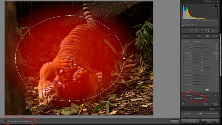 Master Lightroom s Radial Filter: The Ultimate Secret Weapon for Pro Edits